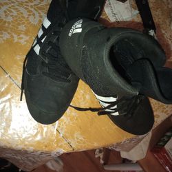 Westing Shoes 
