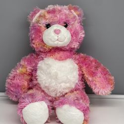 Build A Bear Endless Hugs Sherbet Swirl Pink Tie dye Heart Stuffed Bear 16" 2010