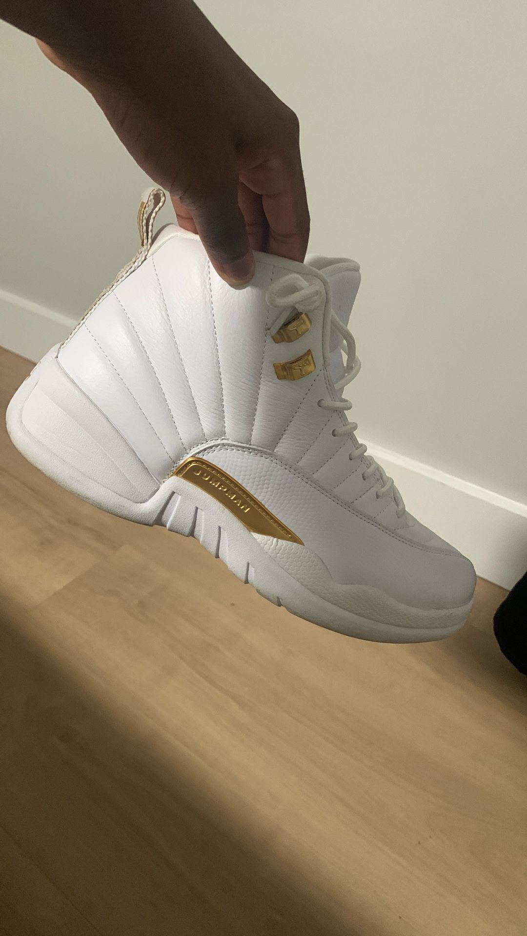 Air Jordan 12 Retro Phantoms