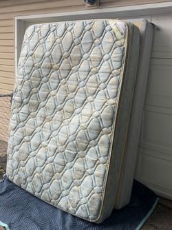 Queen Mattress and Box Spring