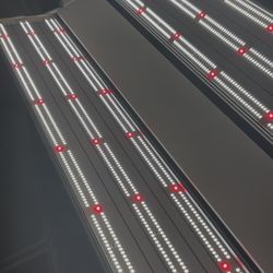 Phantom Pheno 440w LED Grow Light 