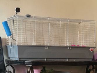 Rabbit cage or small animal