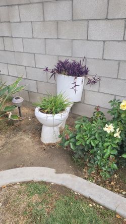 Funny Garden Decor Plater With Plants HEAVY!!