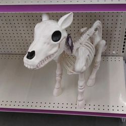 Tractor Supply Horse Skeleton