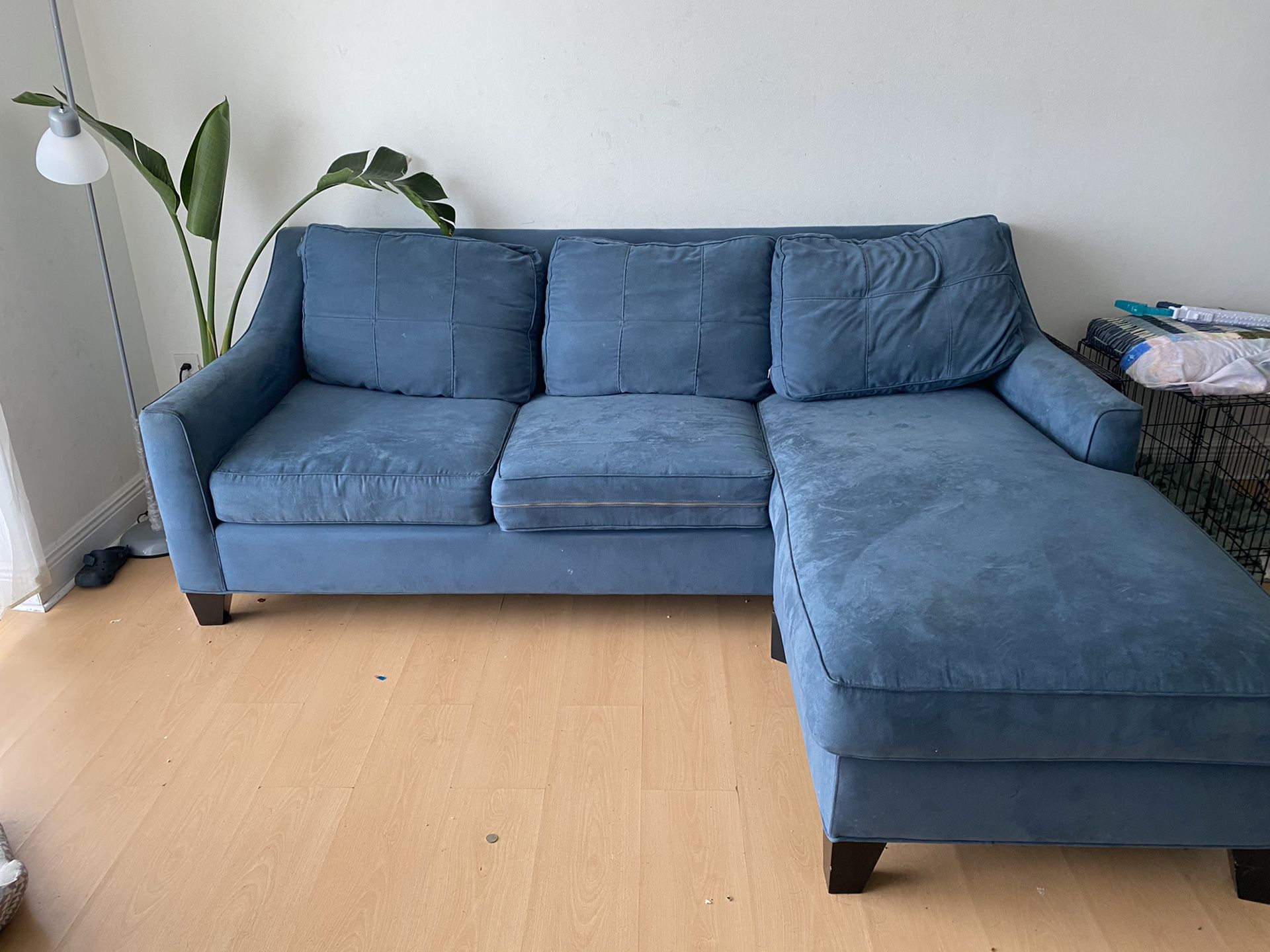 Suede Blue couch