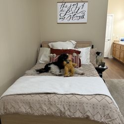 Bed Frame, Mattress & Bedding 