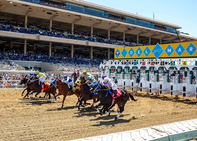 Del Mar Races - Pacific Classic - Box seats 