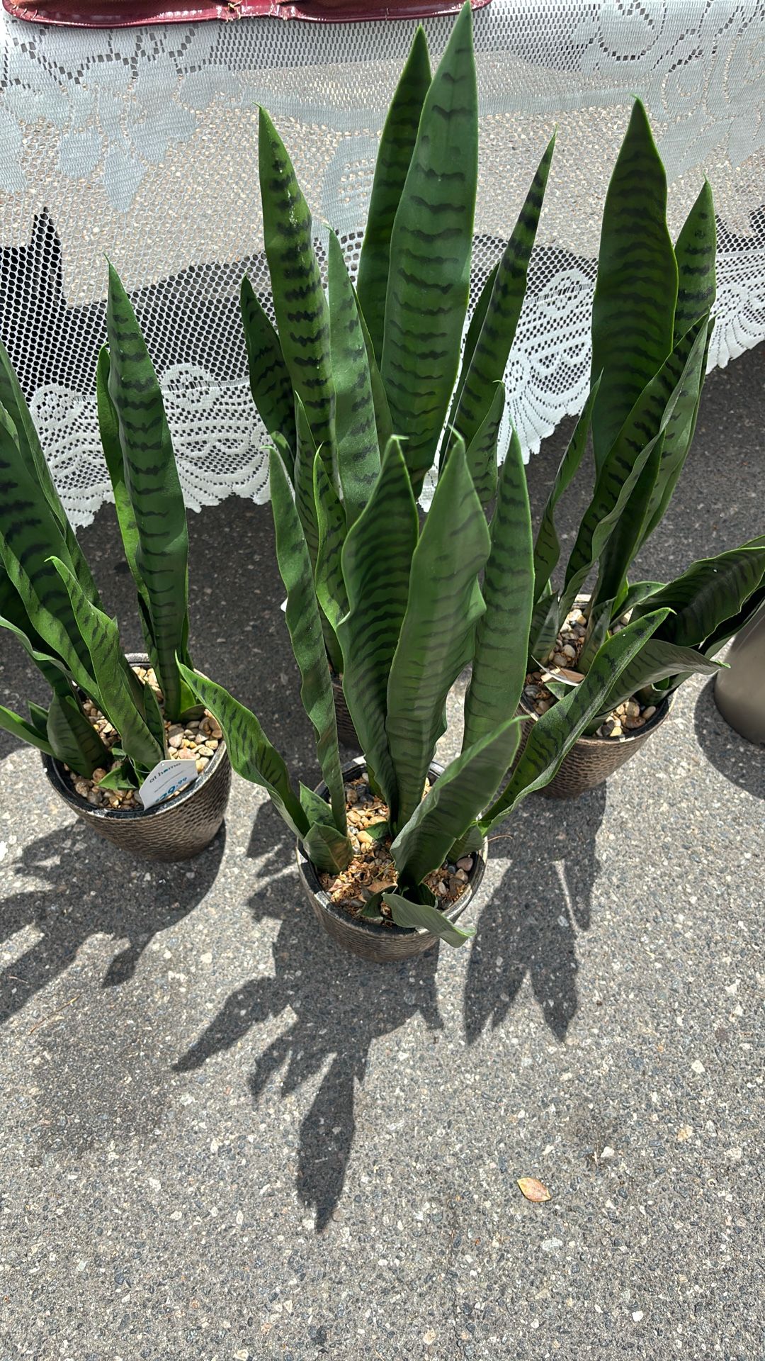 Fake Plants