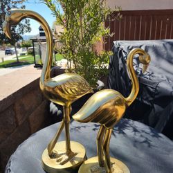 Flamingo  Set