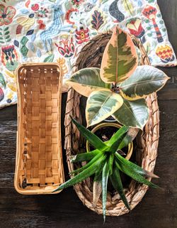 Wicker Woven Baskets