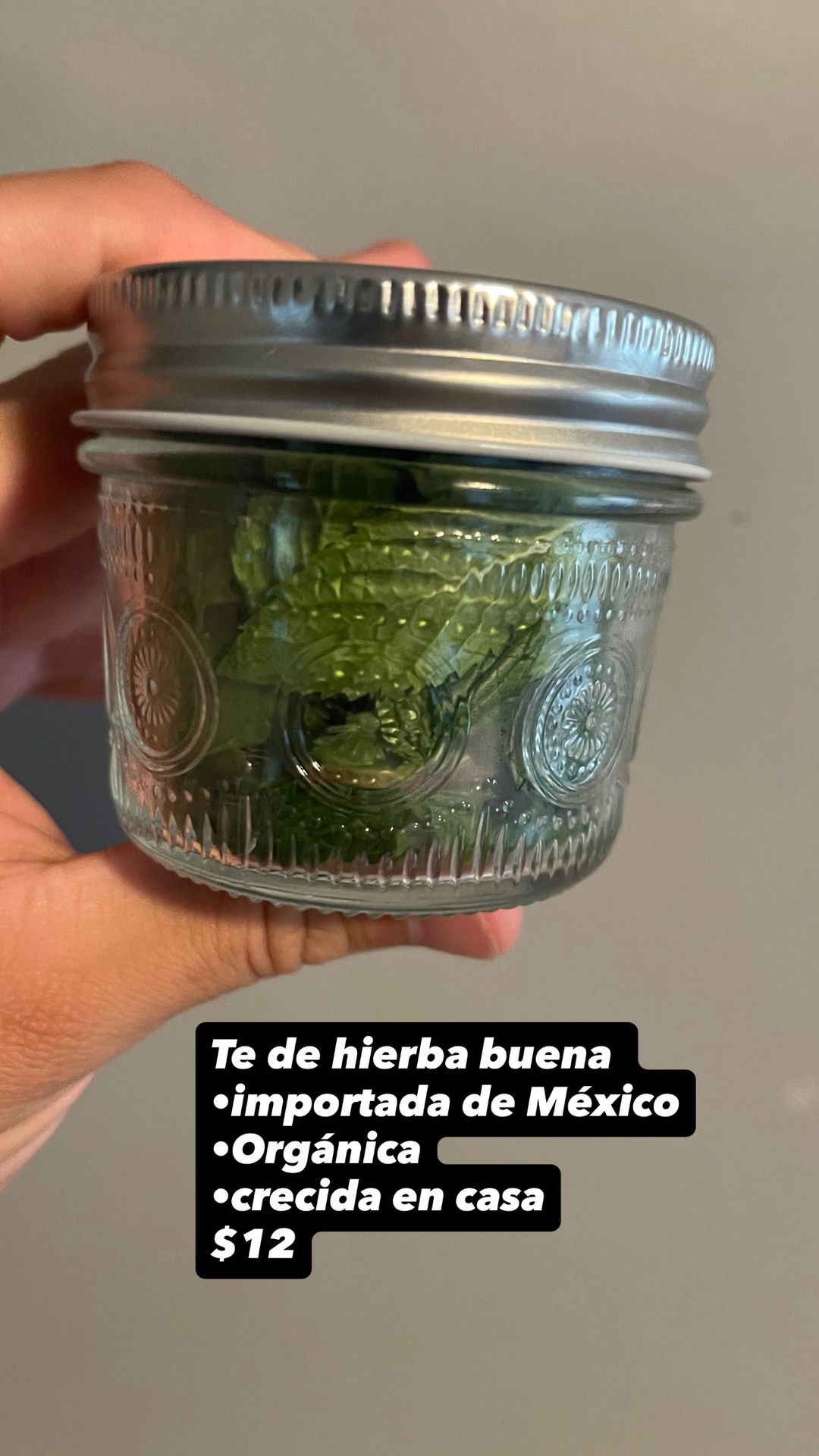 Organic Mint Tea 