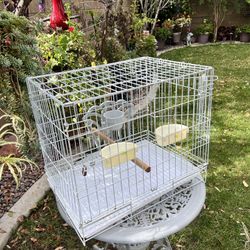 Birds Cage 