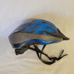 Schwinn Intercept Adult Bike Helmet