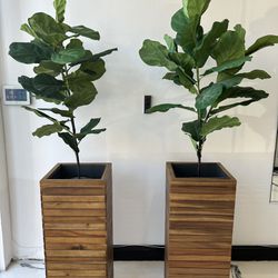 Wooden Plant Collum 