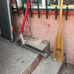 LA. 