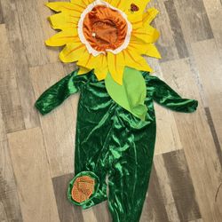 Sunflower Baby Costume