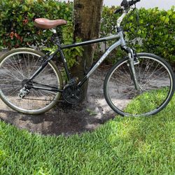 Trek Verve1 L Frame 700 Wheels Hybrid 