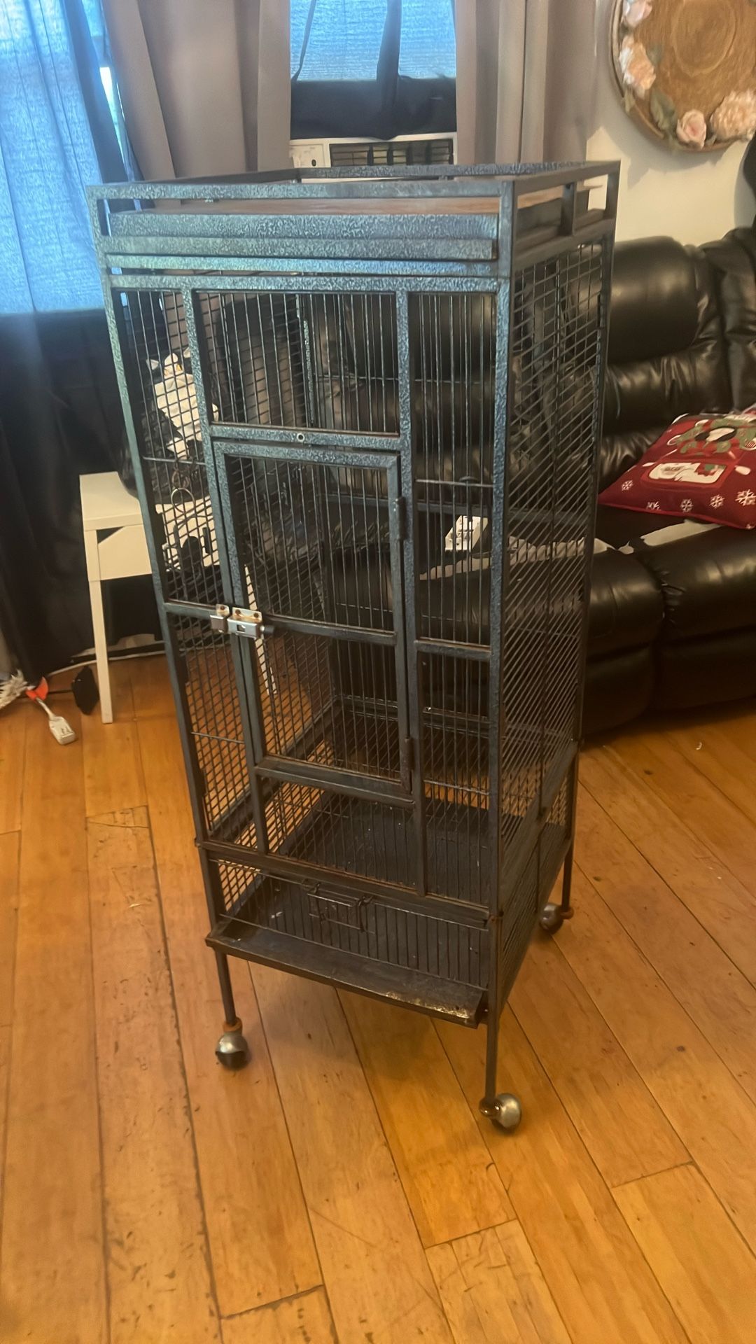Bird Cage