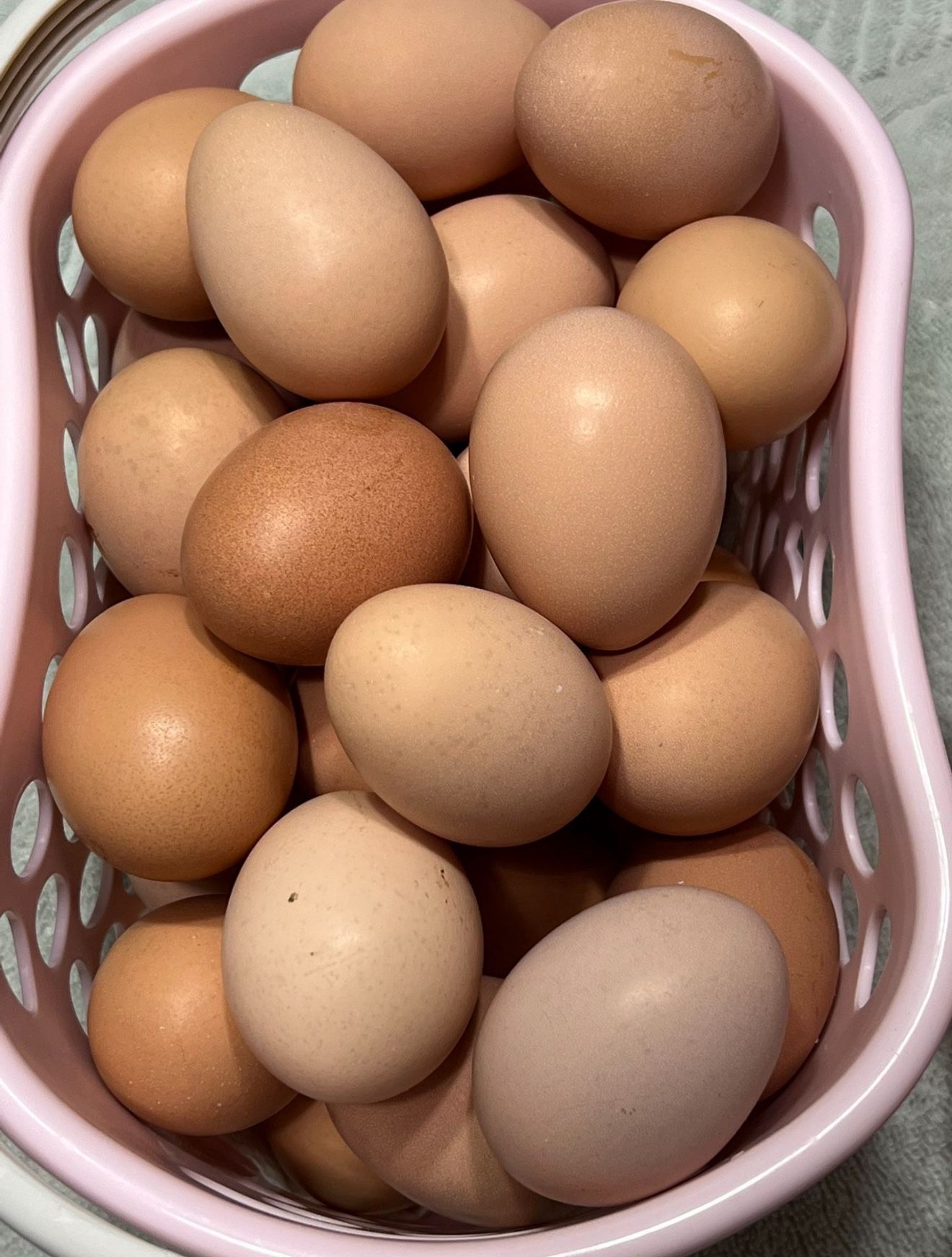 Organic Fresh Eggs