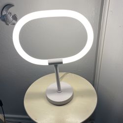 Oval LED Light