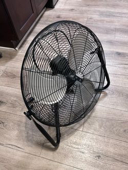 Fan