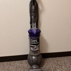 Dylan Ball Animal 2 Vacuum