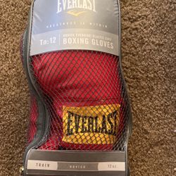 Everlast Boxing Gloves  Tn:12