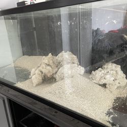 65 Gallon Fish Tank 