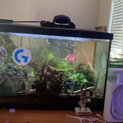 20 Gallon Fish Tank FOR SALE 