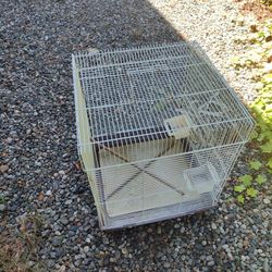 Bird Cage 