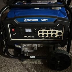 Powerhorse Generator