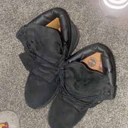 Brand New Timberland 