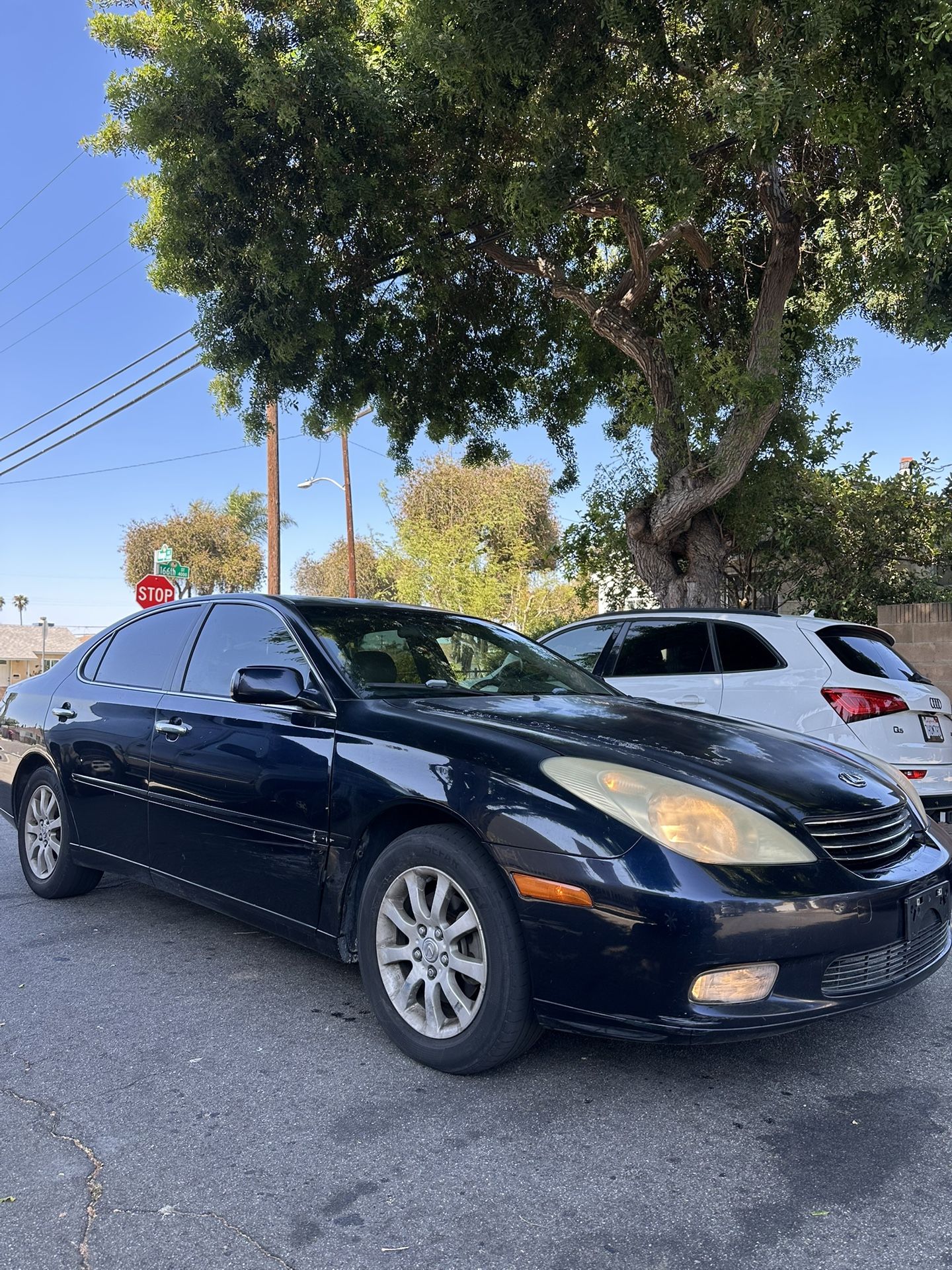 2005 Lexus ES 300