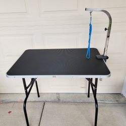 Table For Grooming 