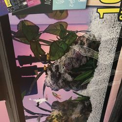 Fish Tank New 