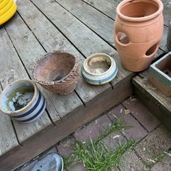 Plant Pots