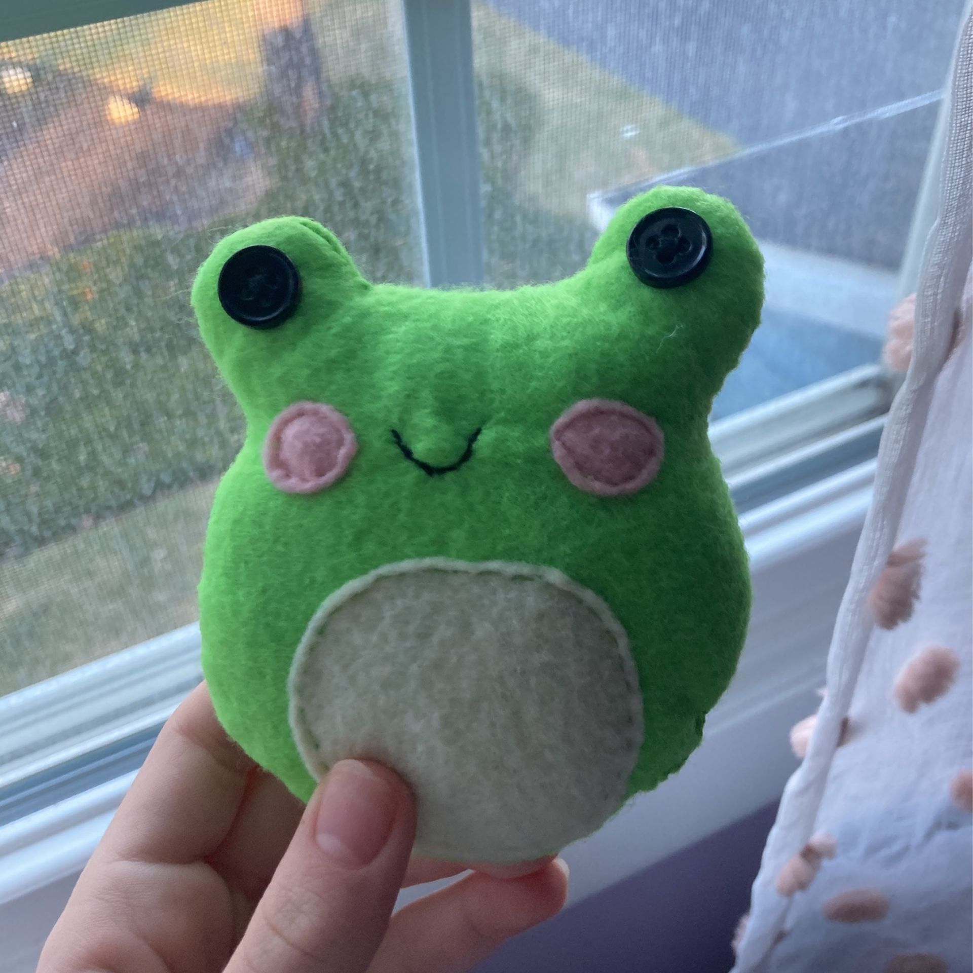 Homemade Sewn Frog Plush