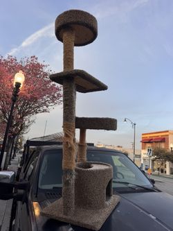 Used Cat Tower