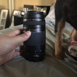 The Canon EF 75-300mm f/4-5.6 III USM lens