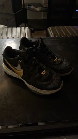 LeBron XX | M 9.5