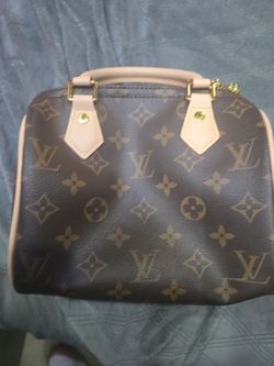 Louie Vuitton Day Bag/Purse