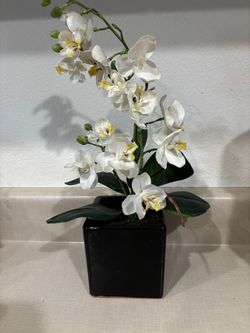 Faux Orchid Arrangement in Black Ceramic Pot