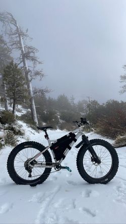 Fat Bike