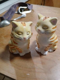 Salt and pepper shaker