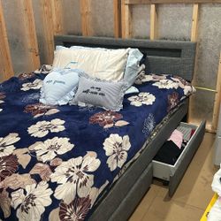 Queen Bed Frame 