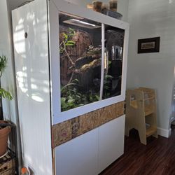 Big Terrarium! 