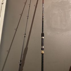 BERRYPRO Surf Spinning Fishing Rod Graphite Spinning Rod