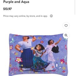 Encanto Squishy Toddler Pillow