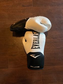 Everlast boxing gloves