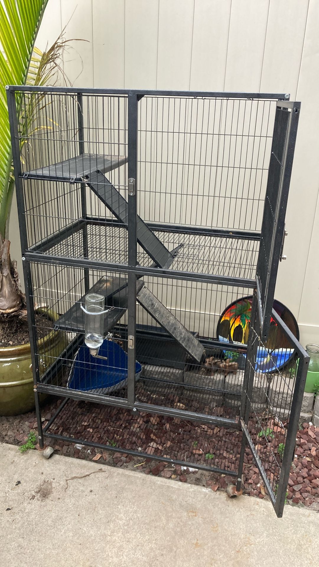 Bird, Small Animal Cage